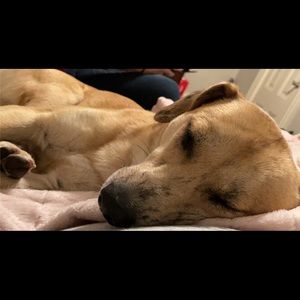 Meet your Posher, Justine